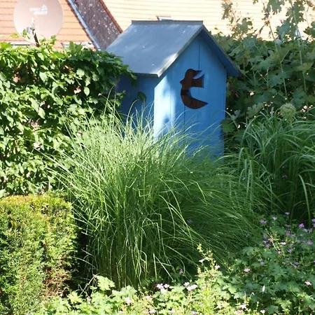 Du Moulin De La Schwingmulhe