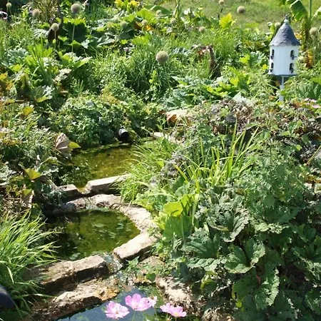 Du Moulin De La Schwingmulhe Nyaraló Hanviller